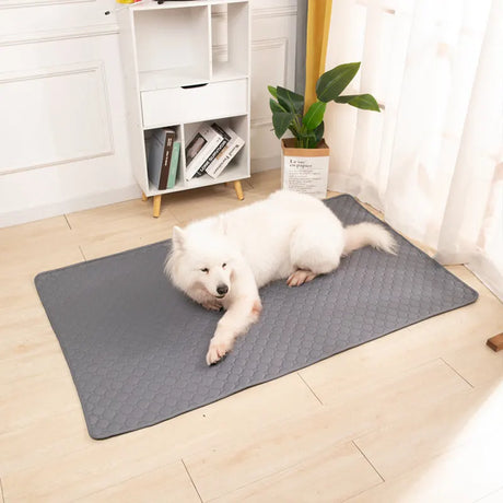 Tapis de protection imperméable, absorbant pour chiens 