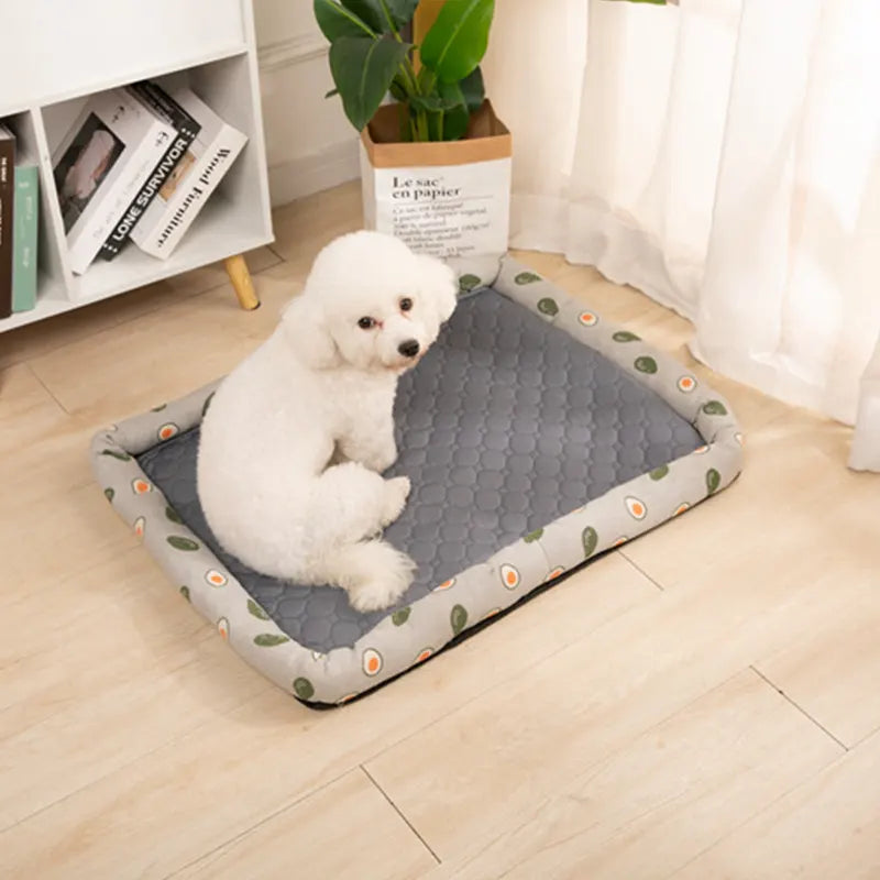 Tapis de protection imperméable, absorbant pour chiens 